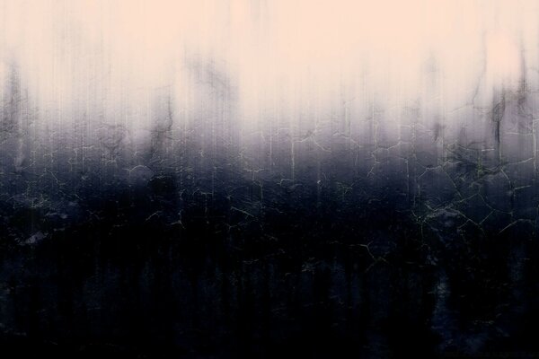 Creative picture of the misty forest