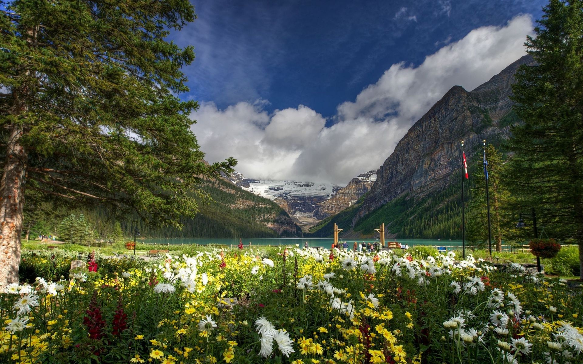 famous places outdoors travel nature mountain landscape flower summer wood sky scenic grass