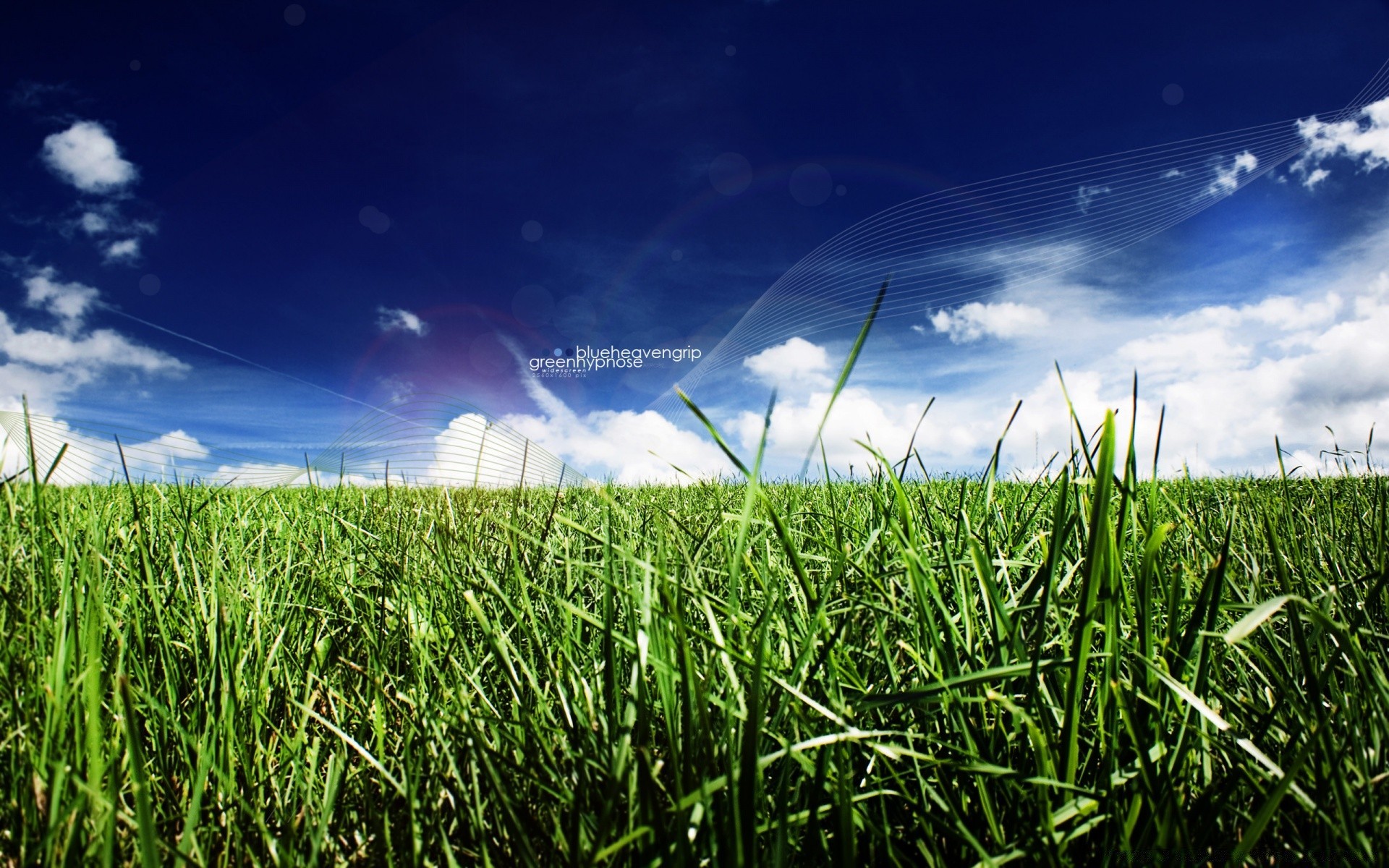 creative field grass hayfield pasture soil farm rural growth sun sky lawn agriculture summer landscape country horizon environment farmland scene