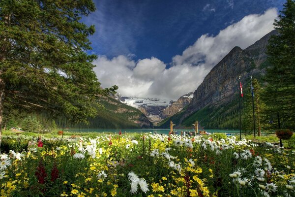 Hermosos paisajes de naturaleza de montaña