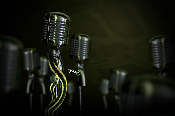 Microphones in the dark. waiting for musicians