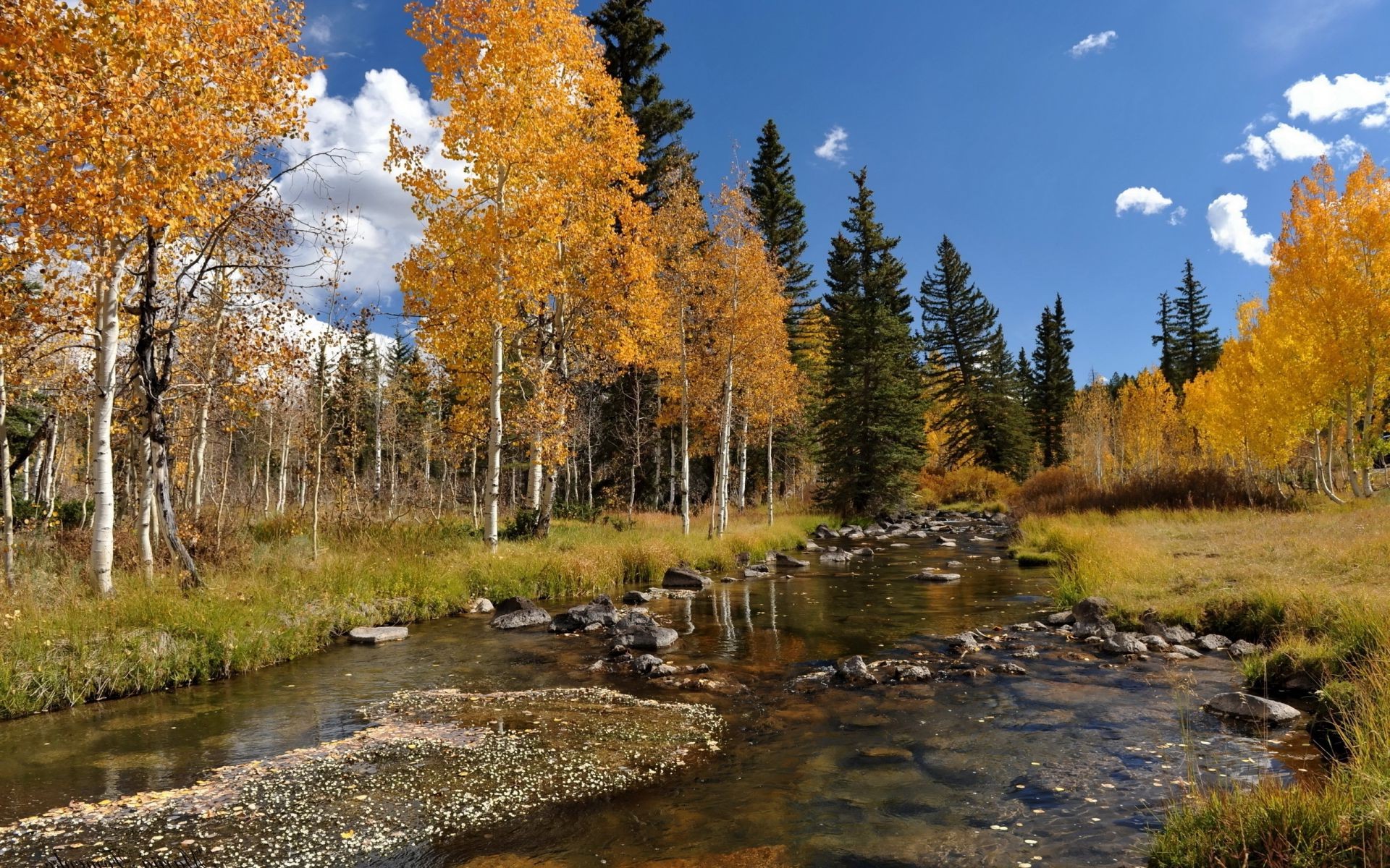 rivers ponds and streams fall wood leaf nature landscape tree outdoors lake scenic water wild park season environment fair weather scenery daylight