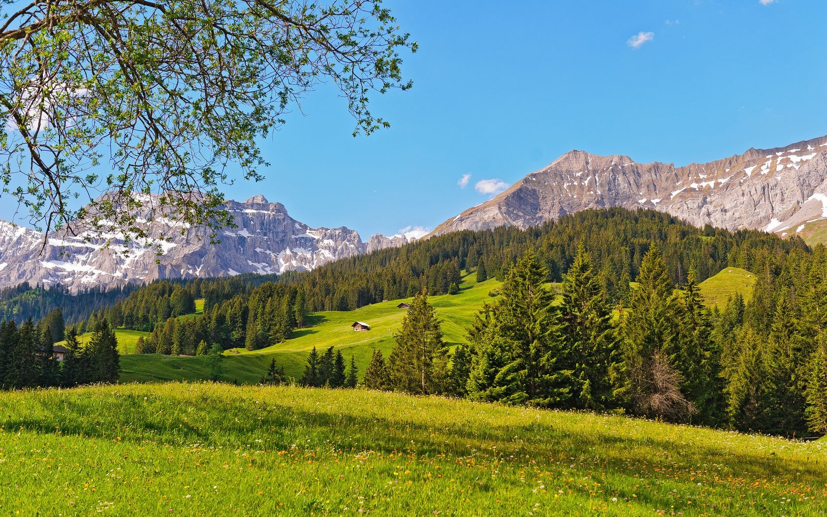 montagnes paysage montagnes bois bois nature scénique à l extérieur ciel voyage colline vallée été spectacle paysages conifères foin