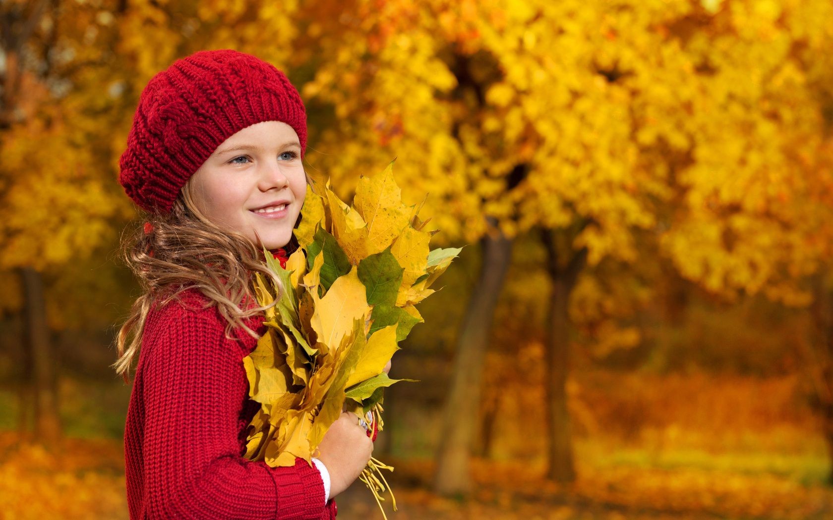 children in nature fall nature outdoors park maple leaf season child tree