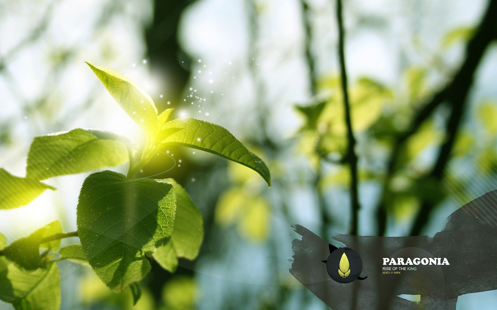 criativo folha natureza crescimento ao ar livre verão brilhante flora bom tempo