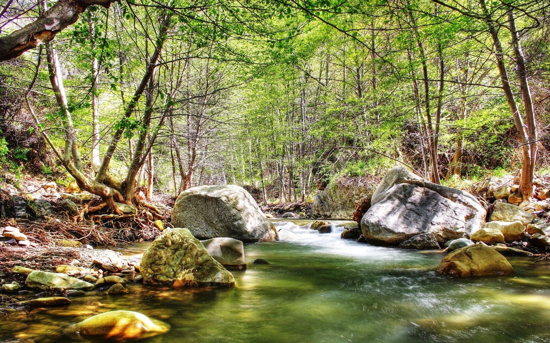 creative water nature wood stream river creek leaf waterfall tree wild rock landscape outdoors summer environment stone travel moss wet cascade