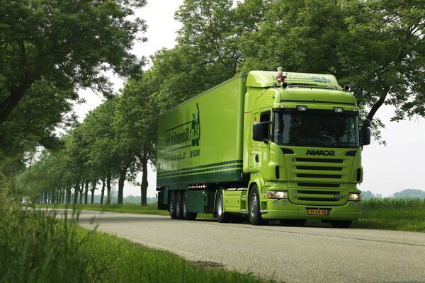 Grüner LKW fährt unter Bäumen