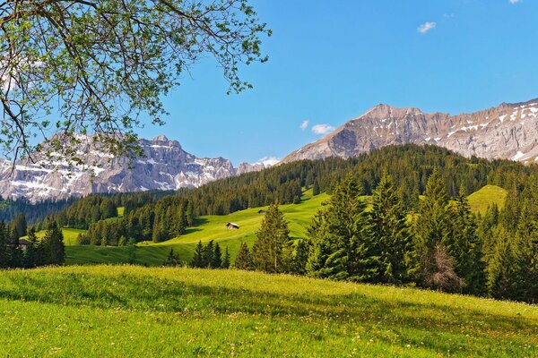 Vallée verte sur fond de hautes montagnes