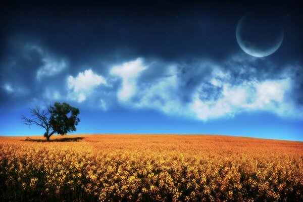 A half-dry and blooming tree against the background of a full moon