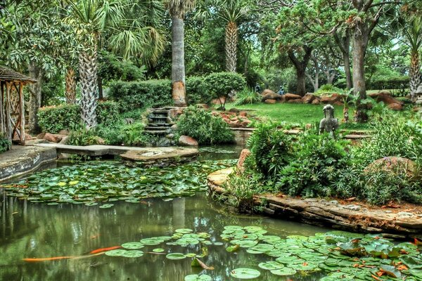 Cabaña cerca de un estanque cubierto en la selva tropical