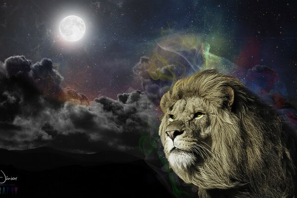 Lion on the background of the night sky