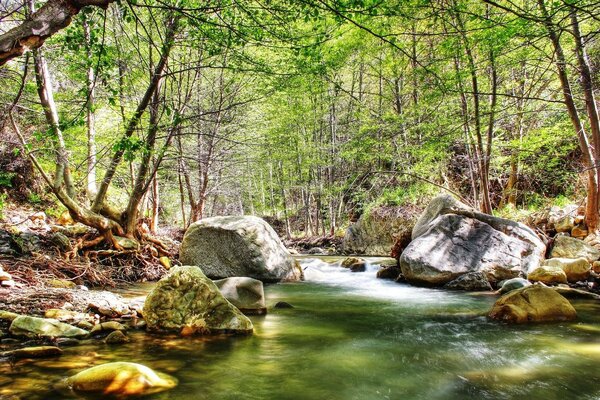 Водопад посреди леса