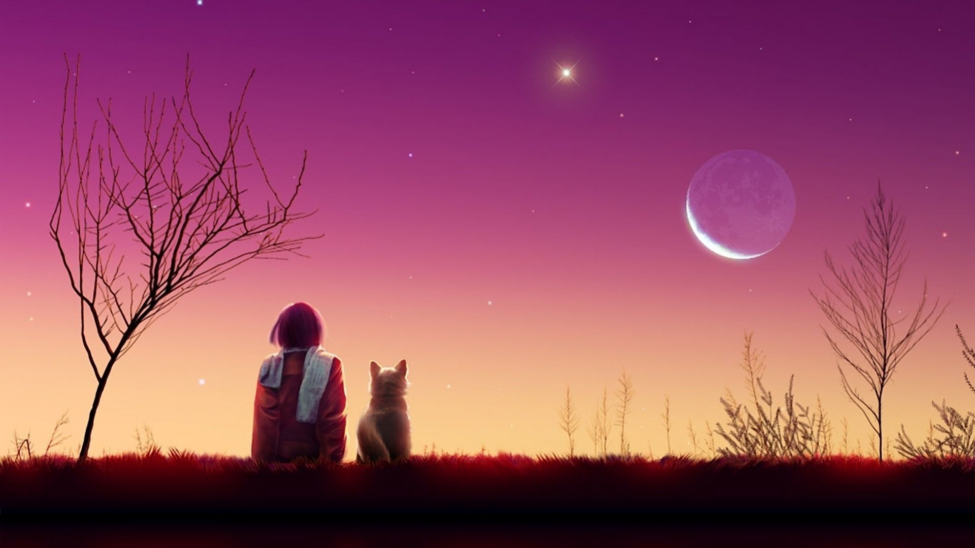 Star cat of the sunset moon evening girl Art landscape - Phone wallpapers
