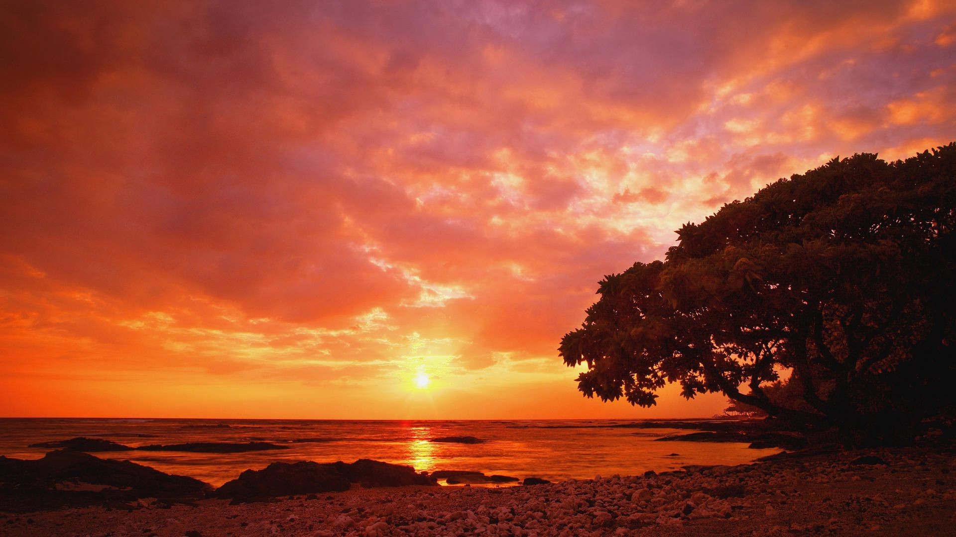 the sunset and sunrise sunset dawn dusk evening sun water sky beach landscape