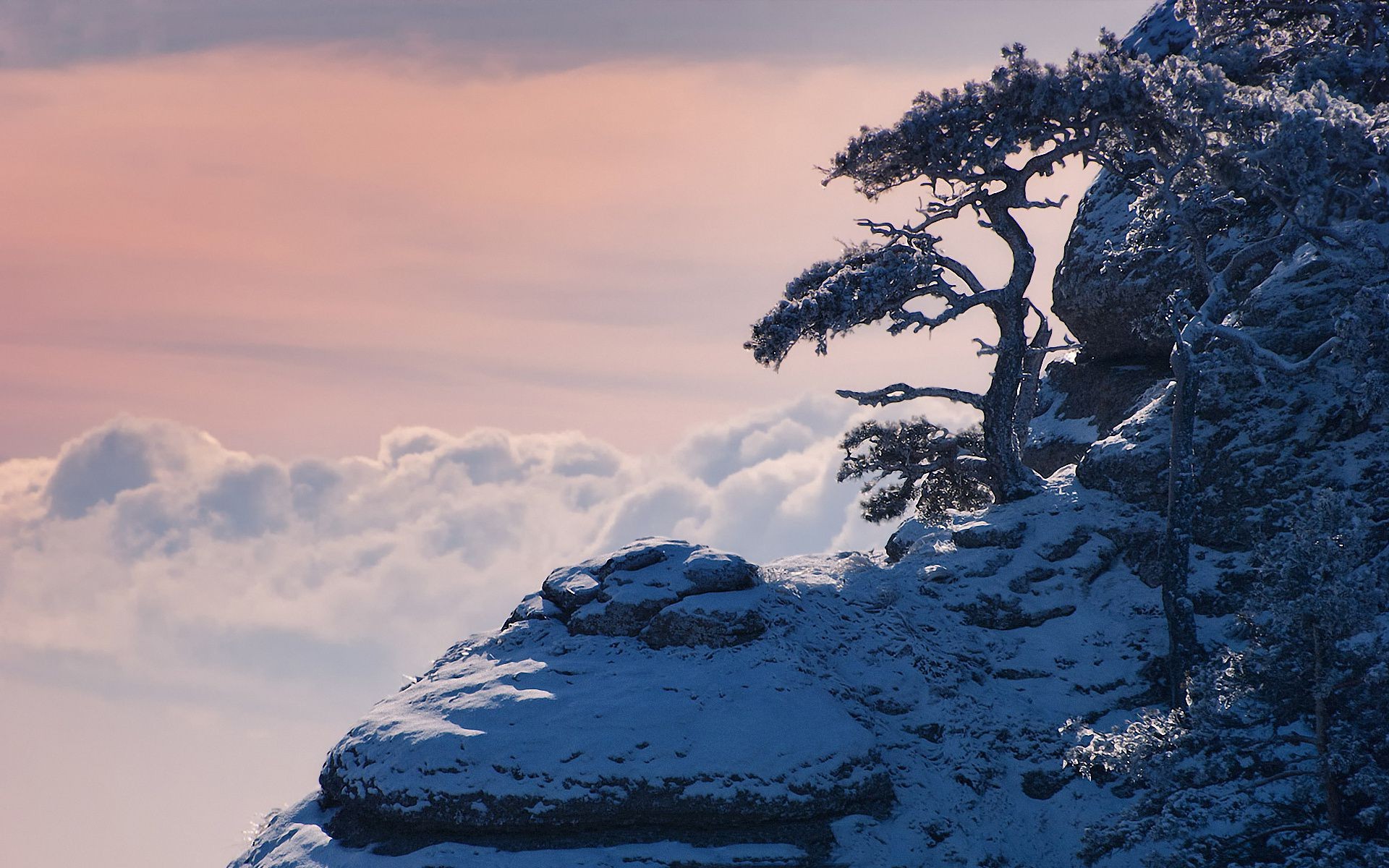 hiver neige glace froid montagnes paysage à l extérieur congelés gel nature voyage arbre ciel aube brouillard