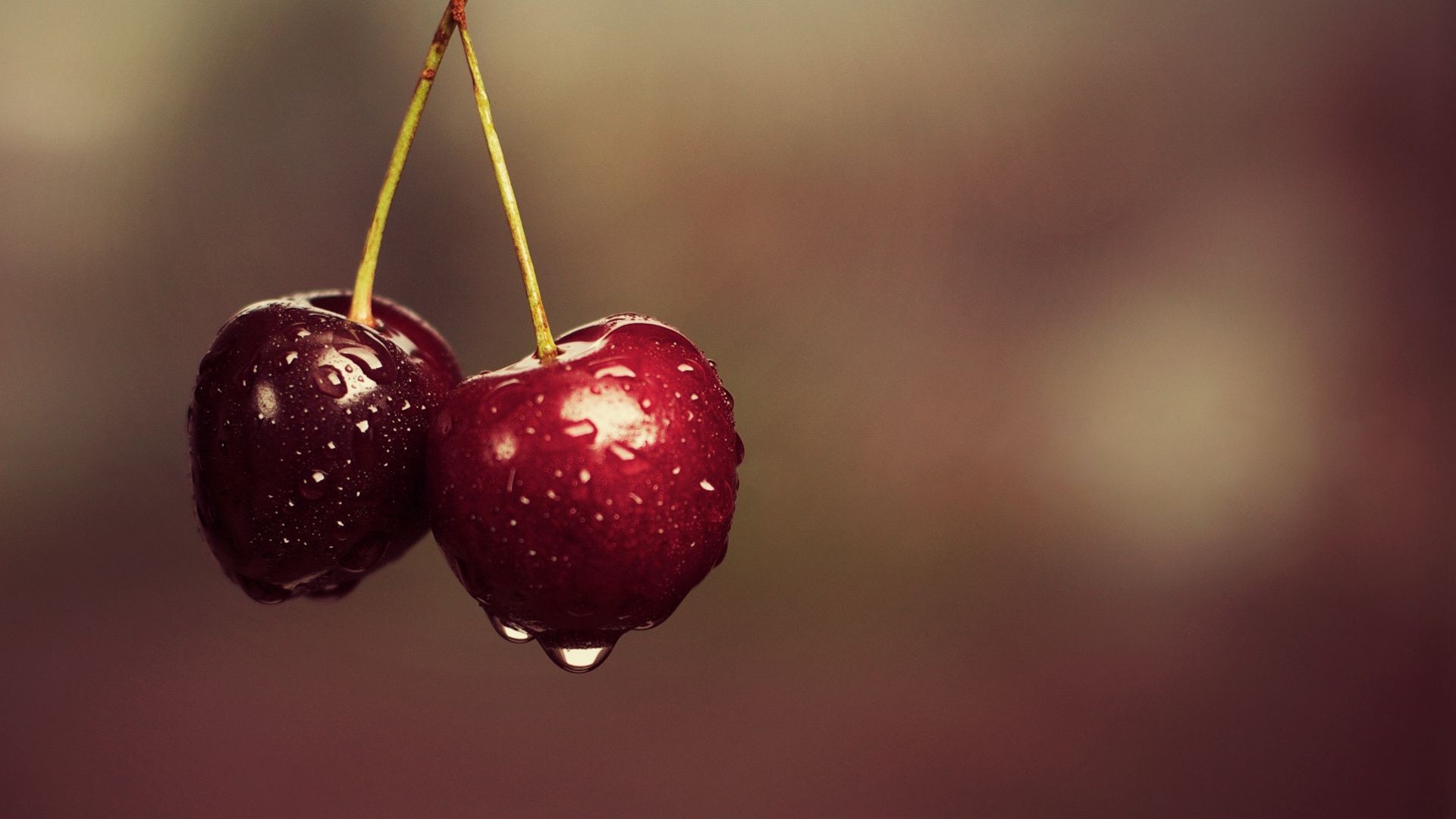 berries fruit food delicious nature cherry shining health still life blur