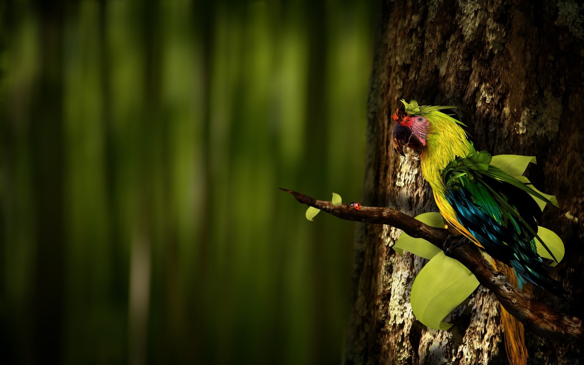 kreativ vogel natur tierwelt im freien