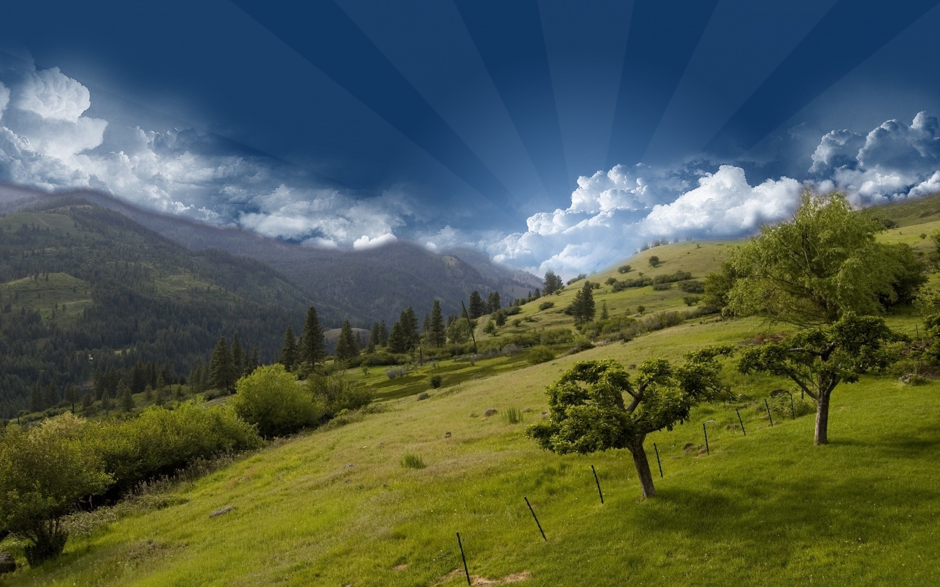 criativo paisagem árvore natureza céu montanha madeira colina ao ar livre grama viagens cênica feno verão campo vale rural nuvem campo