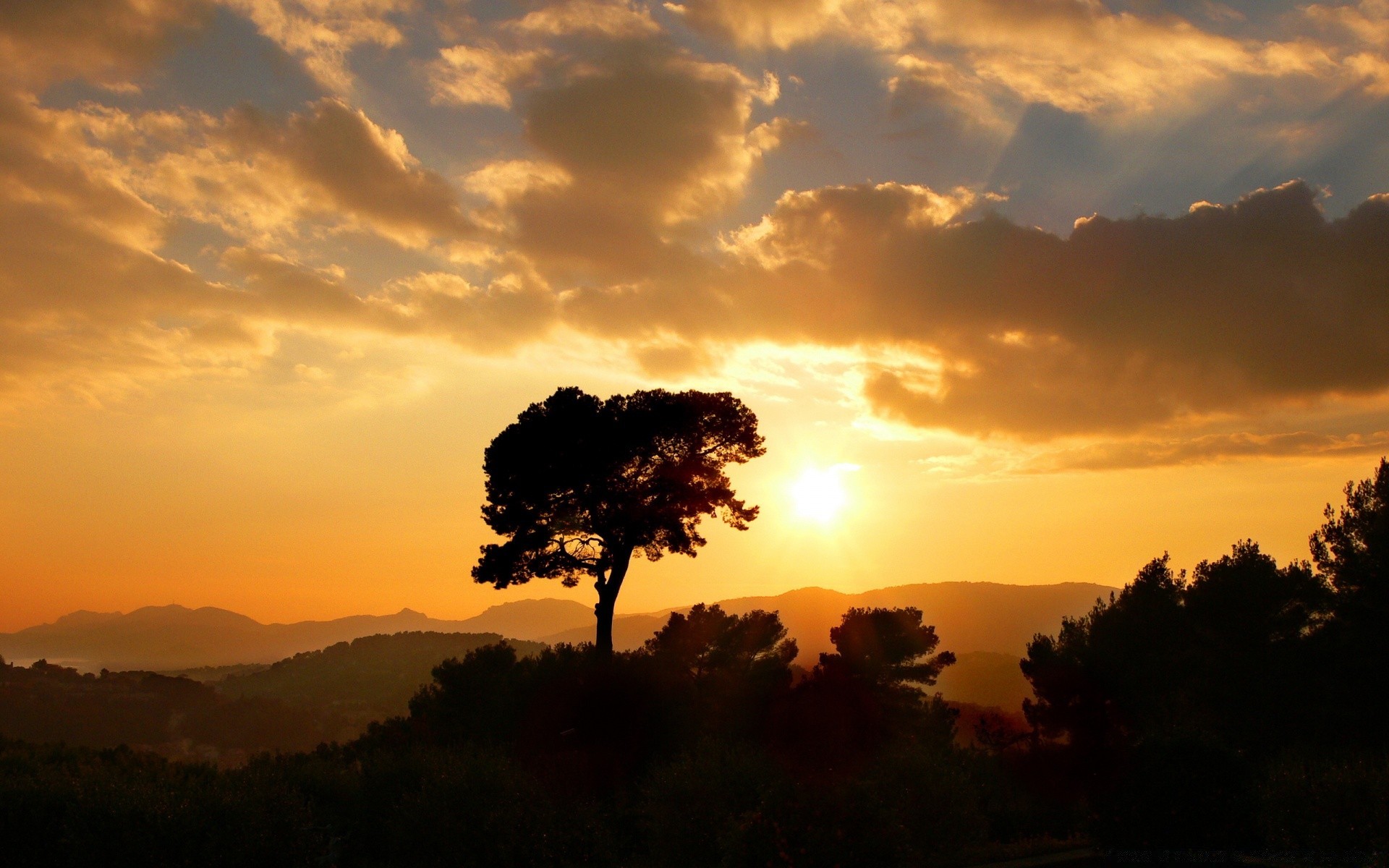 creative sunset dawn evening backlit sun dusk sky tree silhouette landscape nature outdoors fair weather