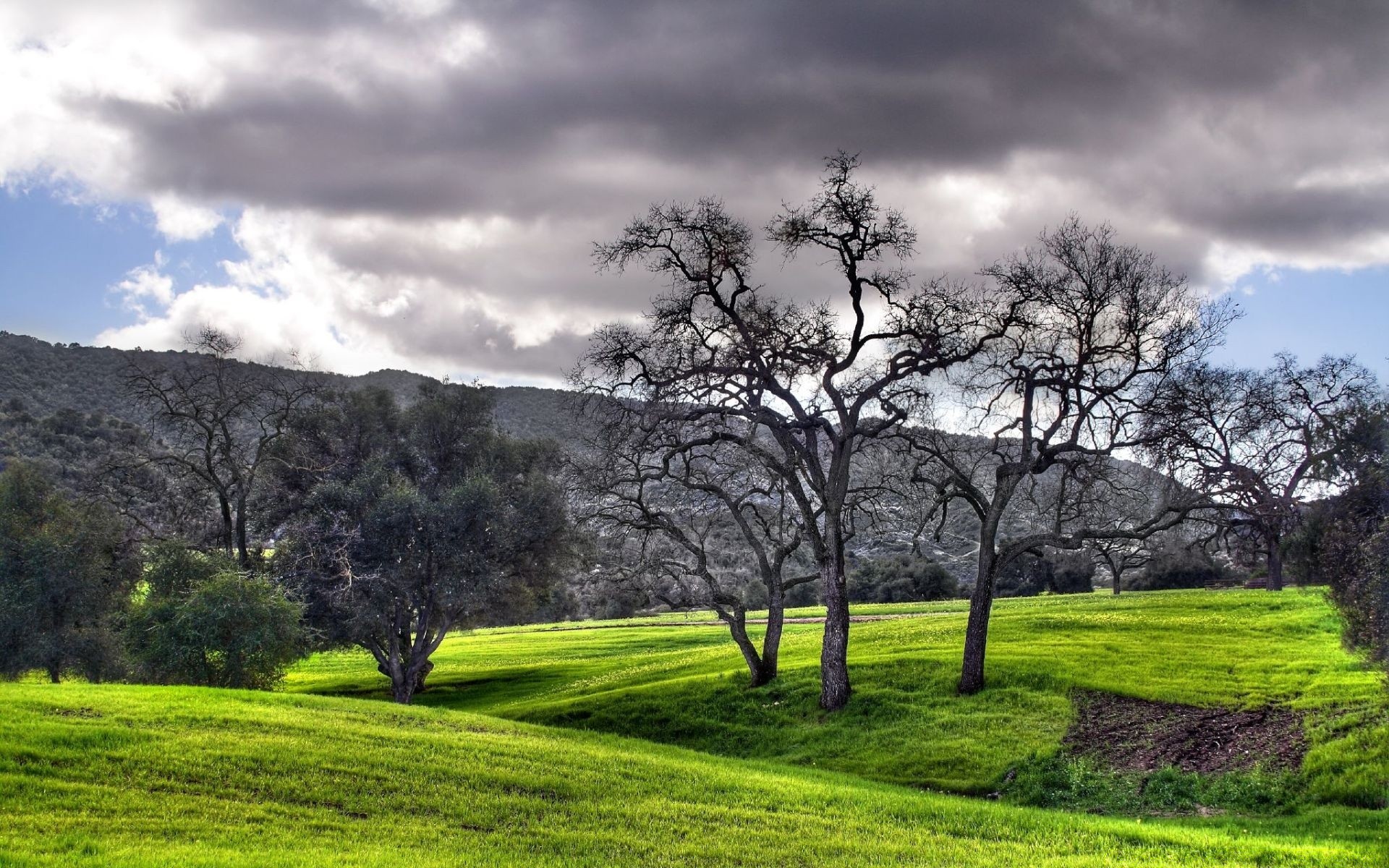 kreativ landschaft baum natur gras feld landschaft landschaftlich heuhaufen landschaftlich landschaft himmel holz spektakel szene im freien park umwelt saison land