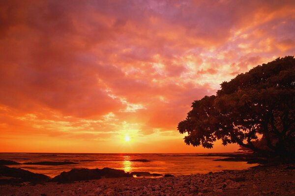 Fiery sunset on the Cote d Azur