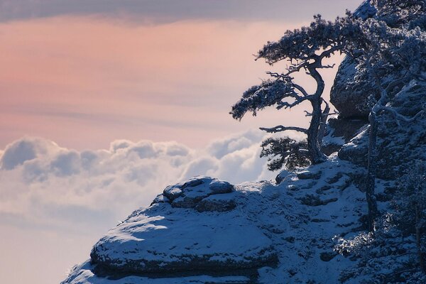 Winter on the white mountain. Ice