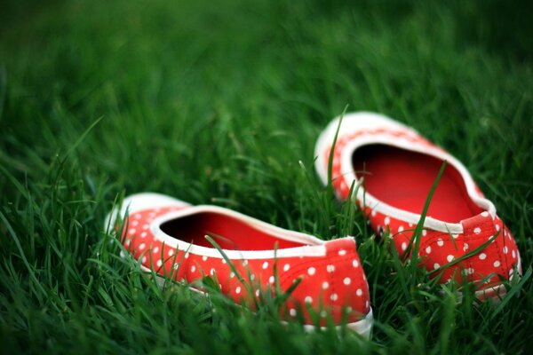 Slippons rouges à pois blancs se trouvent sur l herbe verte