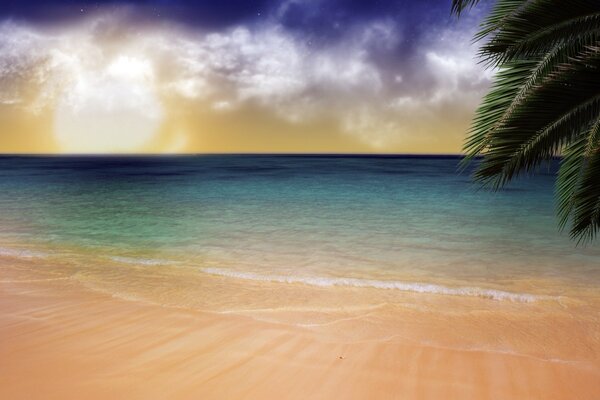 Palm trees by the ocean at sunset