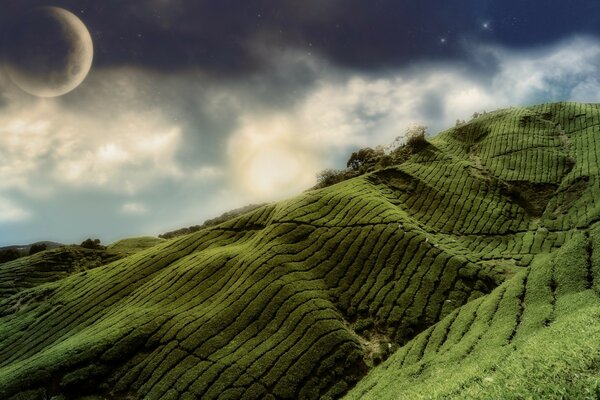 Green hills on the background of the moon