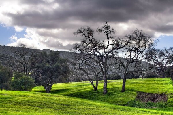 Valle verde a la espera de una tormenta