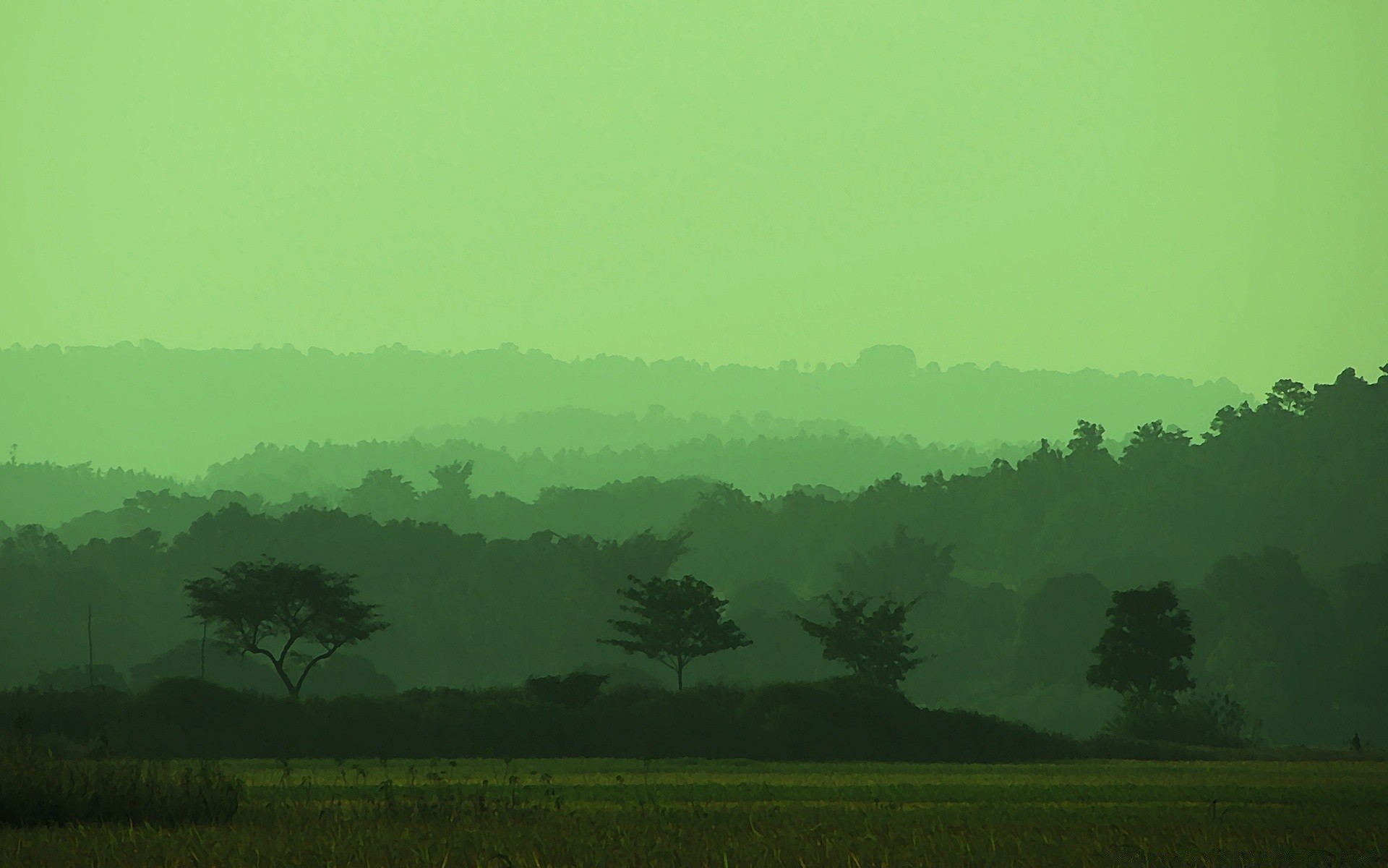 creativo paesaggio albero nebbia terra coltivata nebbia collina natura alba agricoltura all aperto campo montagna azienda agricola cielo tempesta