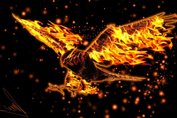 Abstraction of a bird flying in fire