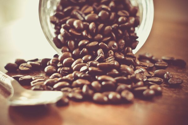 Coffee beans scattered on the table