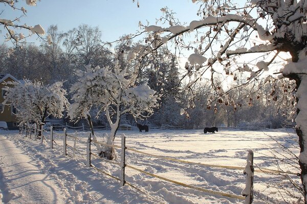 Der Wintergarten liegt im Schnee