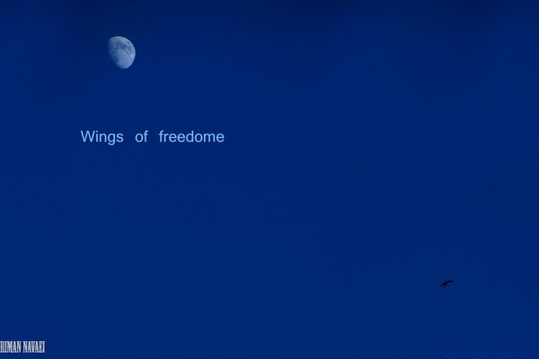 Half moon in a beautiful blue sky