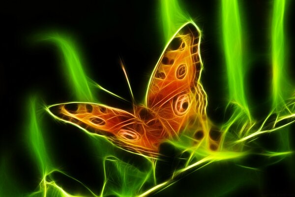 Butterfly, green lines, creative