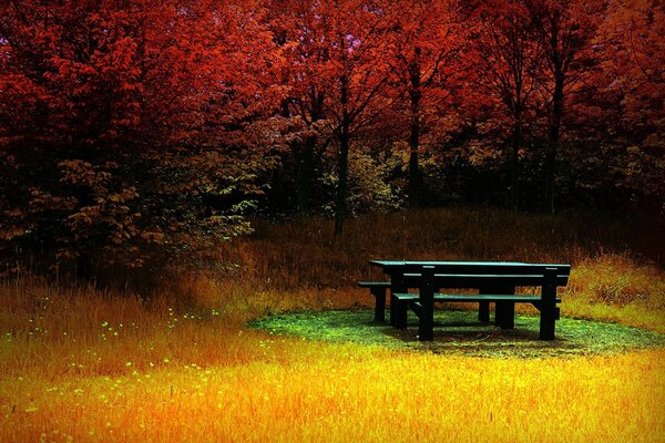 Rencontres vieillesse pas la joie de l automne