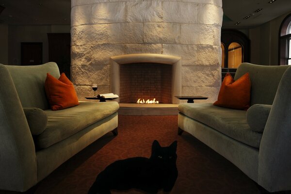 Green sofas and a black cat by the fireplace