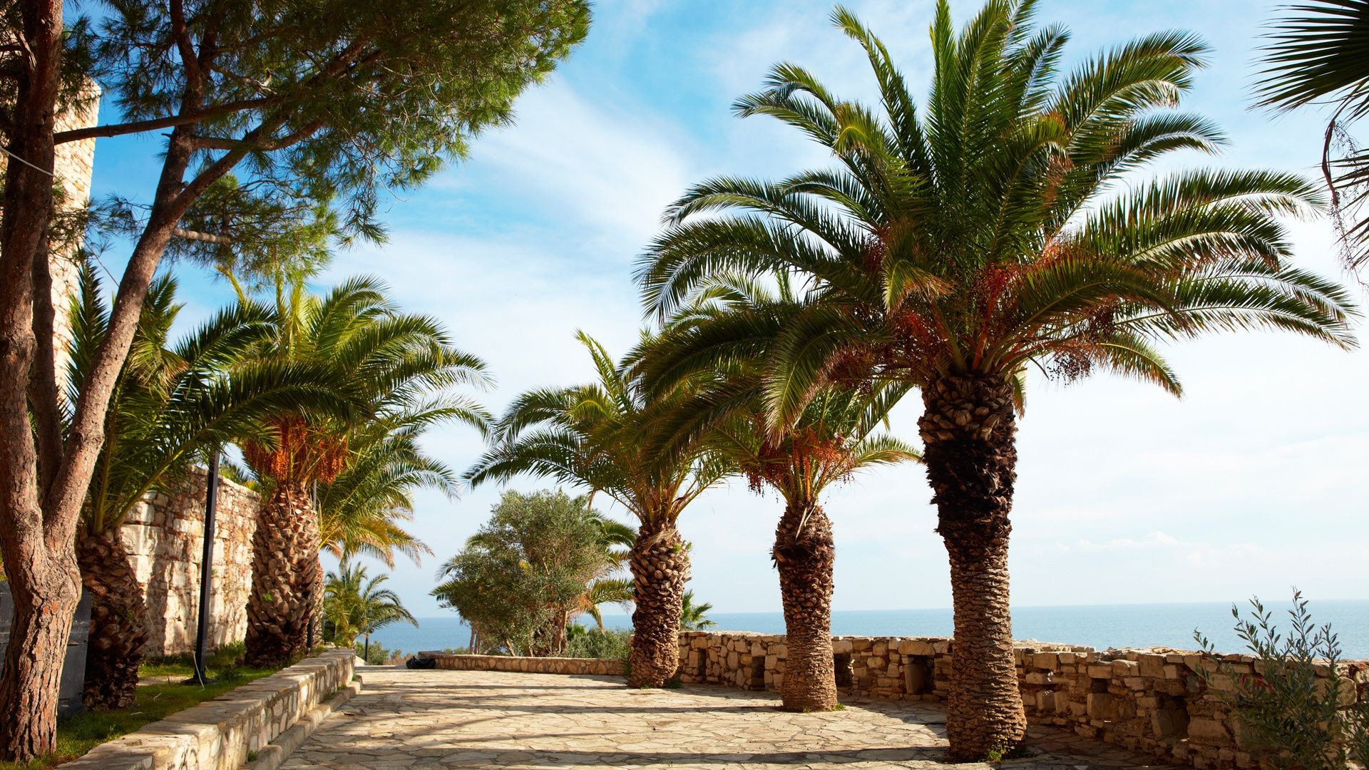 alberi palme albero viaggi tropicale vacanza spiaggia estate resort sabbia isola mari esotico turismo hotel oasi sole soleggiato cielo