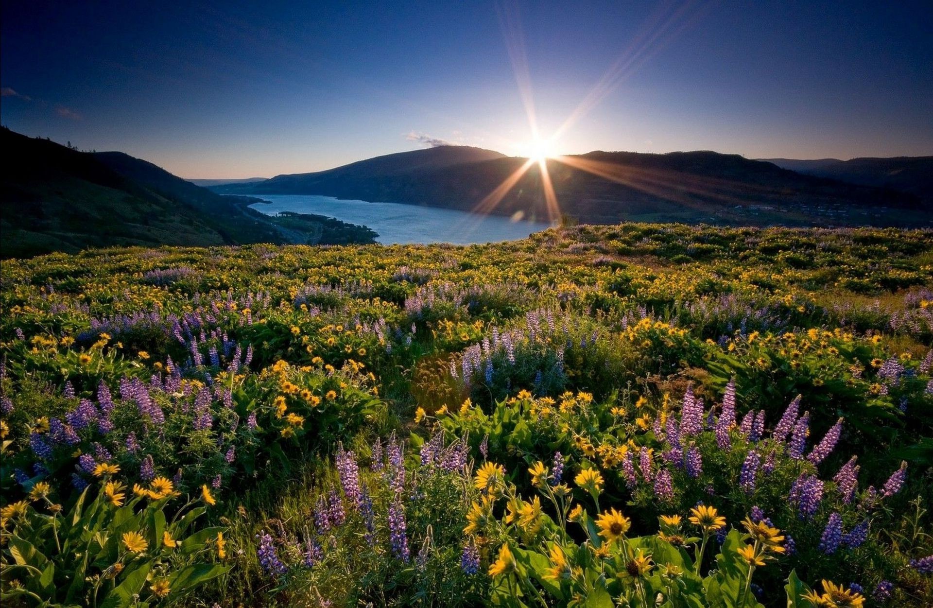 felder wiesen und täler landschaft natur dämmerung lupine berge im freien blume heuhaufen gras sommer weiden himmel landschaftlich ländlich sonnenuntergang gutes wetter sonne feld reisen