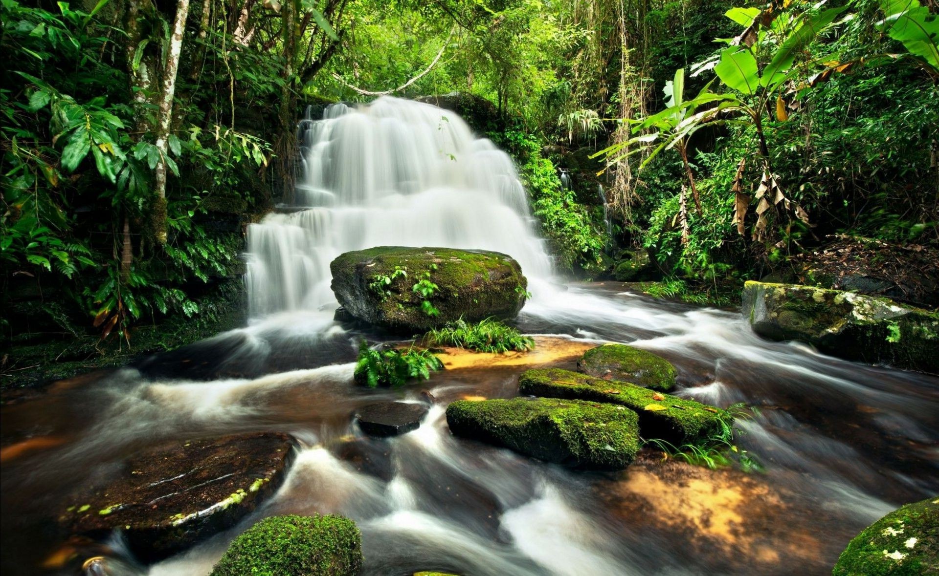 wasserfälle wasserfall wasser fluss natur holz kaskade fluss blatt moos schrei nass rock herbst im freien spritzen fließen wild reisen sommer