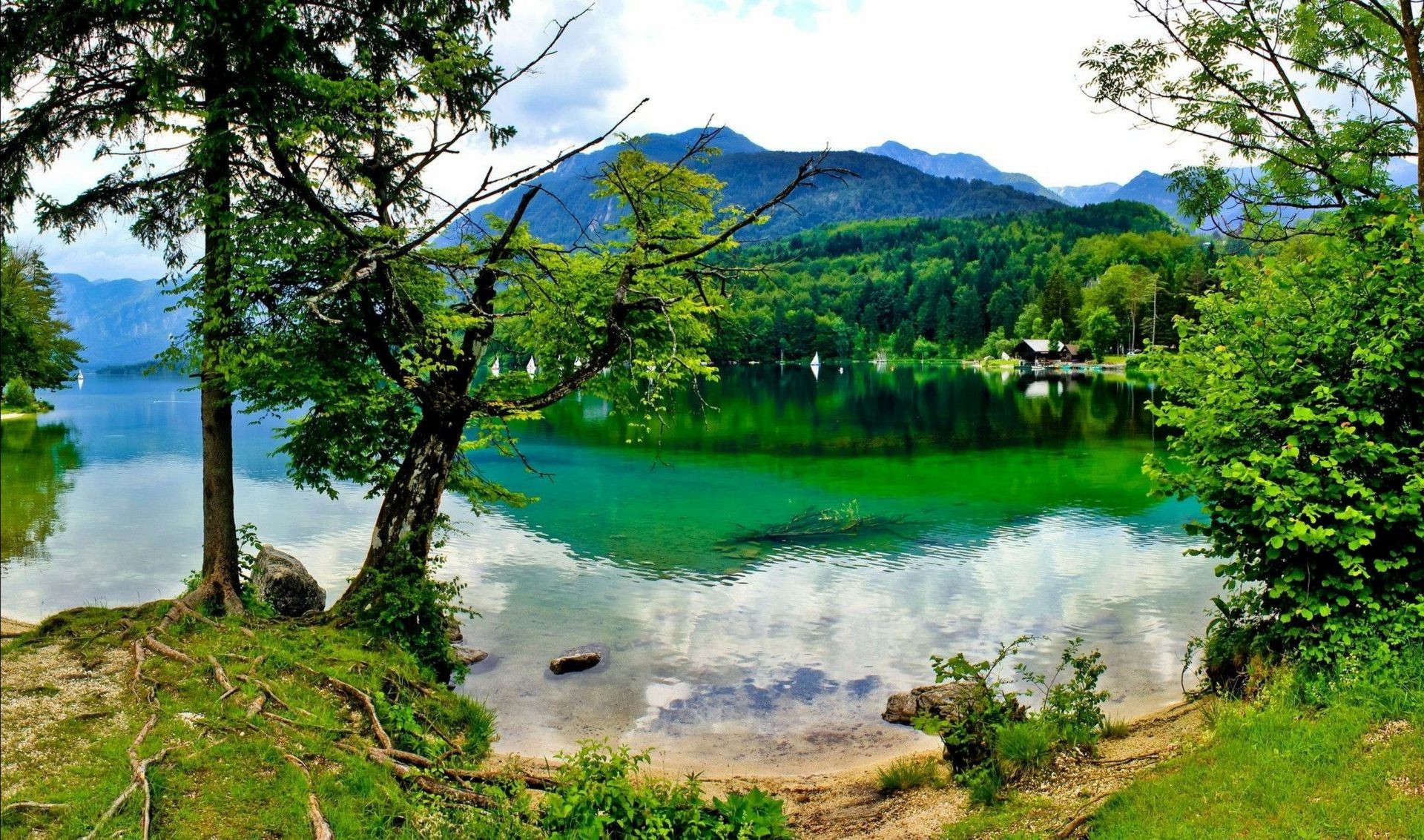 rivières étangs et ruisseaux étangs et ruisseaux nature paysage eau bois bois été voyage scénique à l extérieur lac ciel spectacle herbe paysage beau parc montagnes beau temps scène