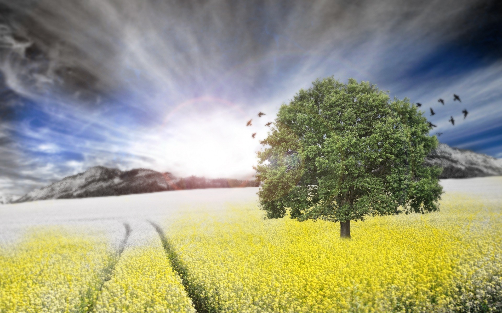 creative landscape field agriculture nature sky farm rural cloud flower tree scenic outdoors countryside crop environment hayfield country horizon oil