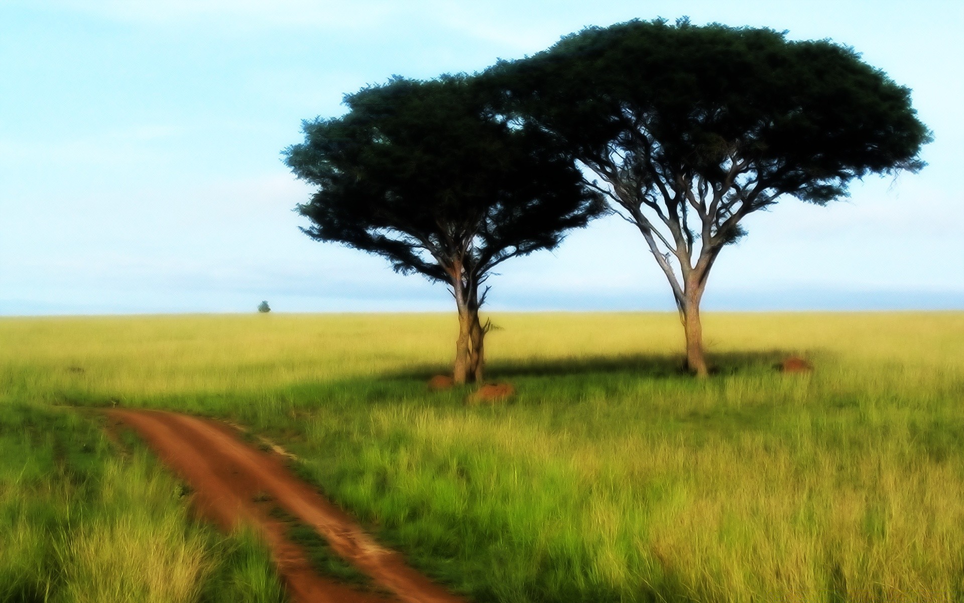 creativo paisaje árbol hierba naturaleza campo al aire libre tierra cultivada campo cielo rural heno