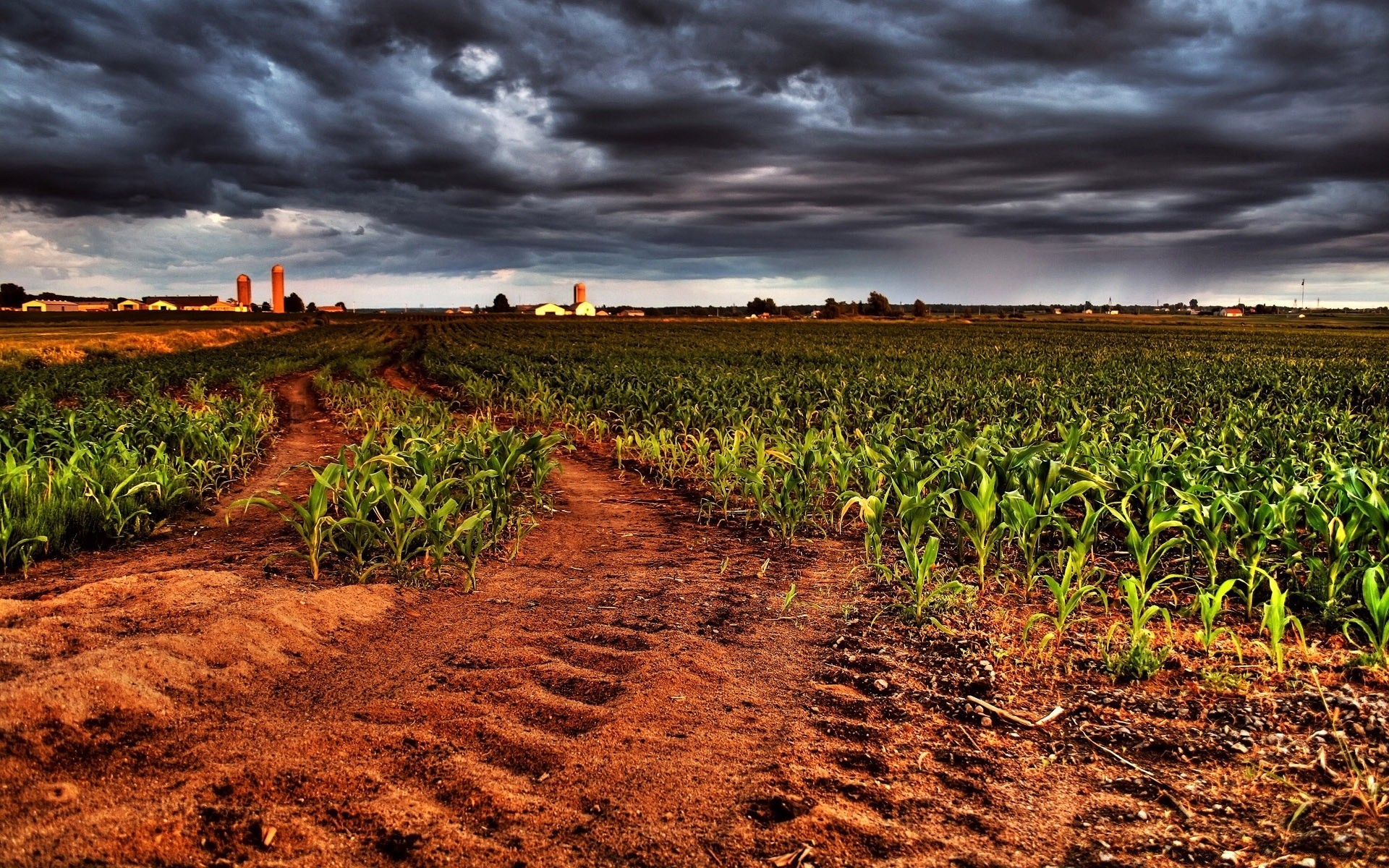 creative agriculture soil farm nature landscape rural growth field sky outdoors crop farmland flora pasture summer country ground ball-shaped countryside