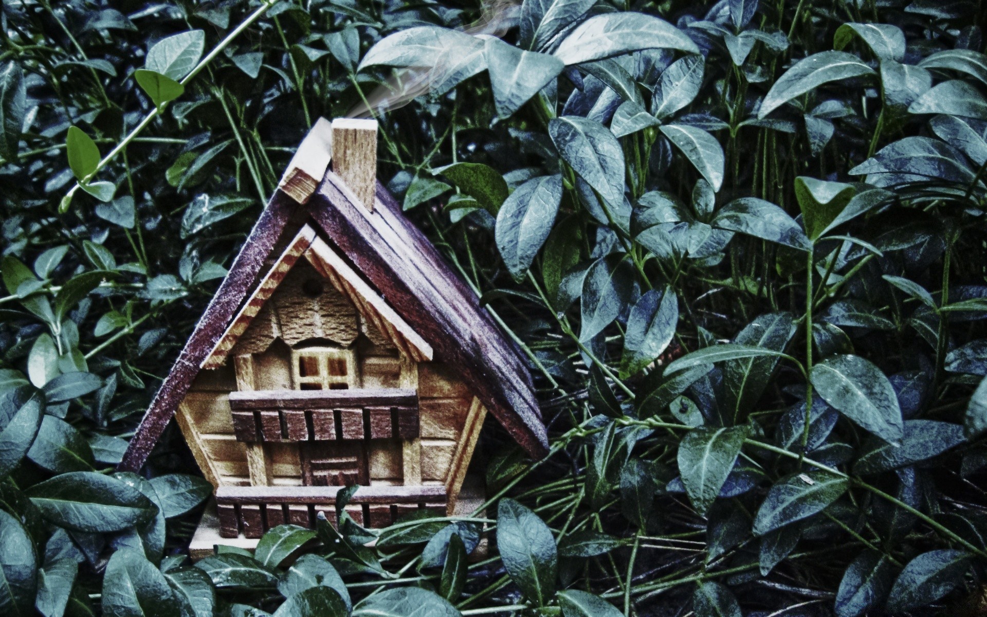 kreativ holz haus holz aus holz blatt natur familie garten im freien flora