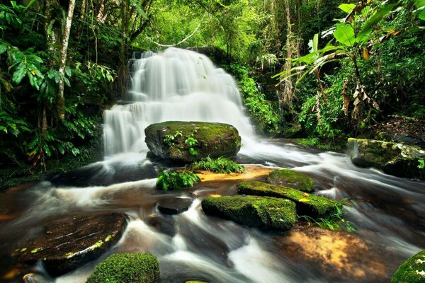 Obstáculos em uma cachoeira na floresta, não importa