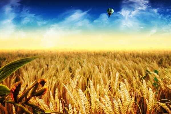 An airship is flying over the field