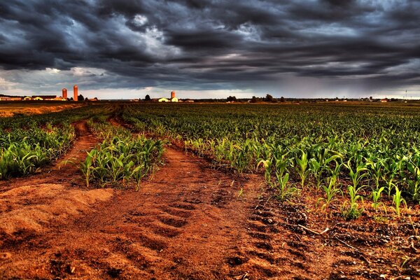 Las nubes cuelgan sobre el campo