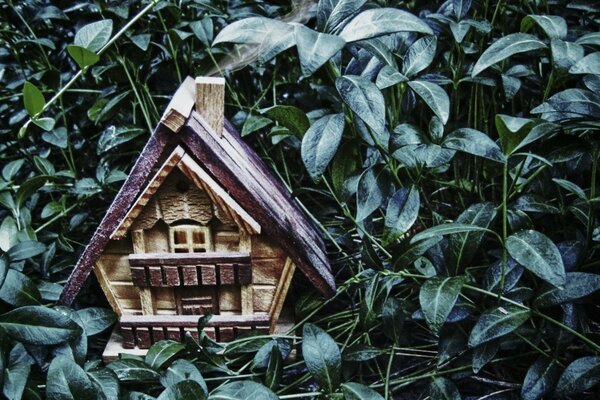 A toy house in the thicket